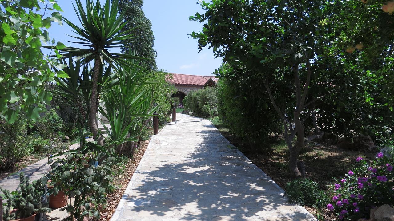 Elausa Hotel & Restaurant Rizokarpaso Buitenkant foto